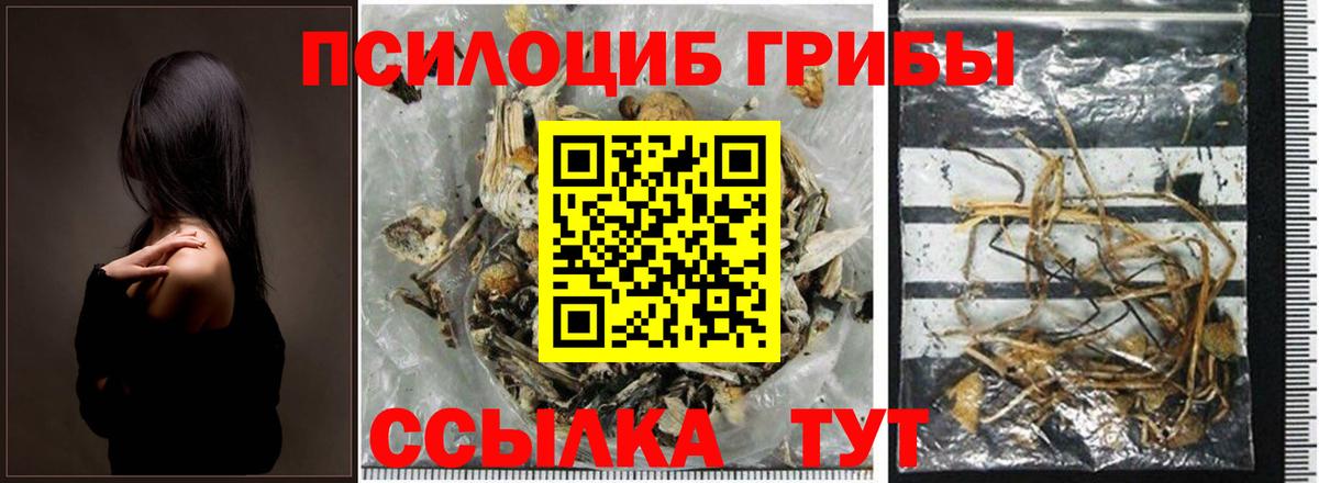 Галлюциногенные грибы Psilocybe Мирный